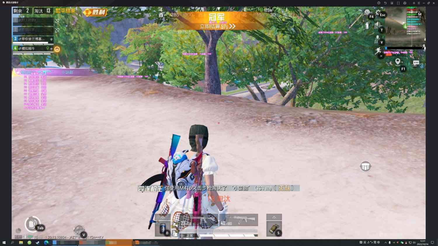 和平精英《太极》辅助